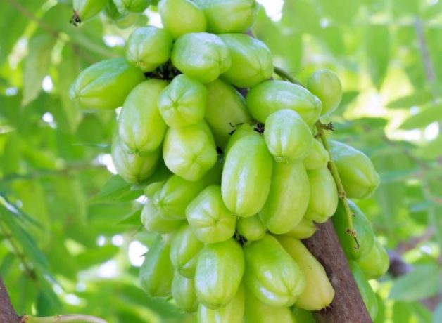 625.0.560.350.160.300.053.800.668.160.90