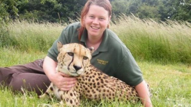 625.0.560.350.160.300.053.800.668.160.90