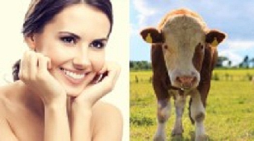 625.117.560.350.160.300.053.800.210.160.90 (1)