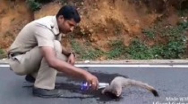 625.117.560.350.160.300.053.800.210.160.90 (1)