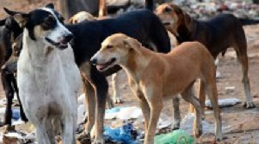 625.117.560.350.160.300.053.800.210.160.90