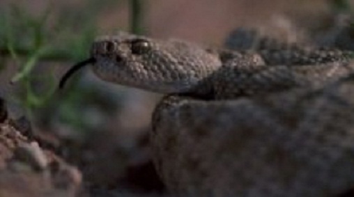 625.117.560.350.160.300.053.800.210.160.90