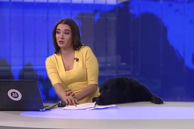 625.500.560.350.160.300.053.800.748.160.70 (1)