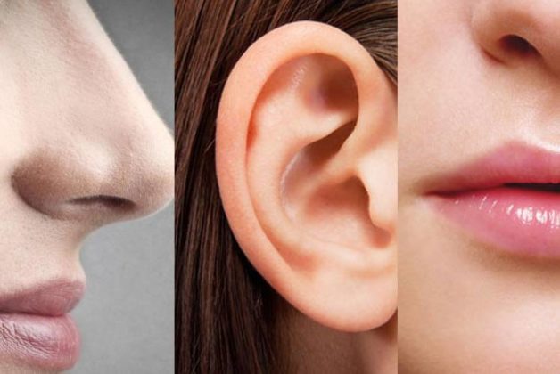 625.500.560.350.160.300.053.800.748.160.70 (1)