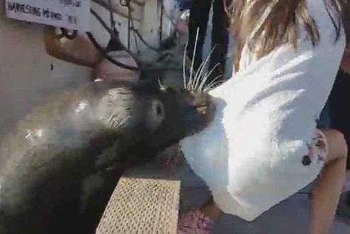 625.500.560.350.160.300.053.800.748.160.70