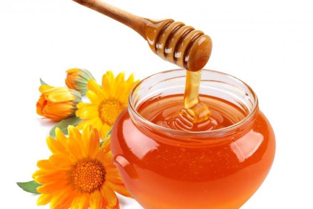 625.500.560.350.160.300.053.800.748.160.70