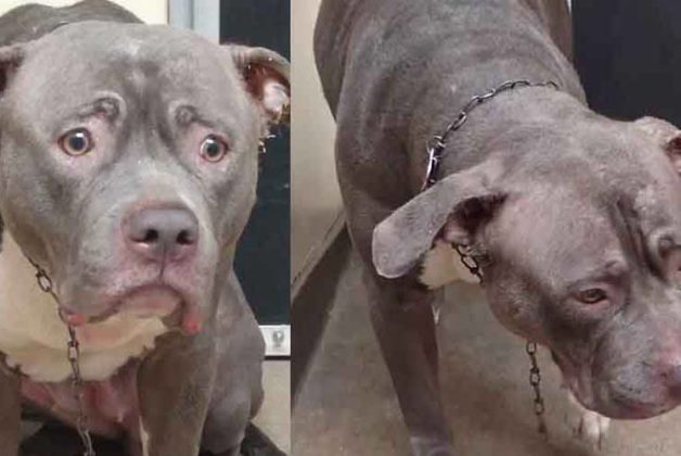 625.500.560.350.160.300.053.800.748.160.70