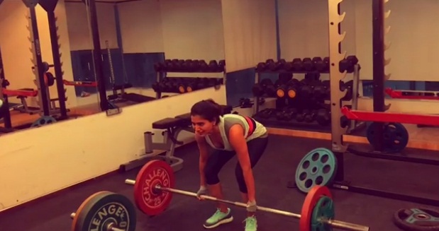 elephant_attack_jeep001.w245