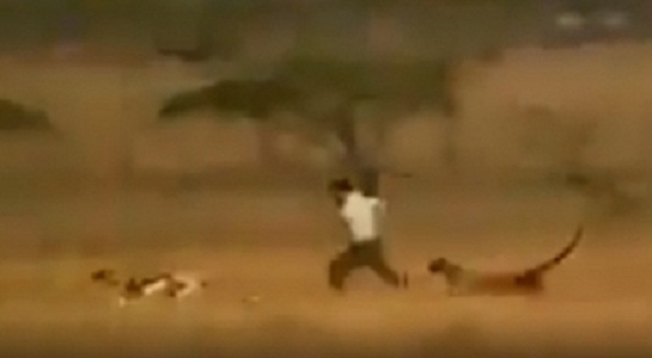 funny_deer_safe001.w245