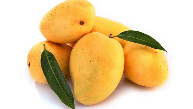 201706051438072031_Mango-physical._L_styvpf