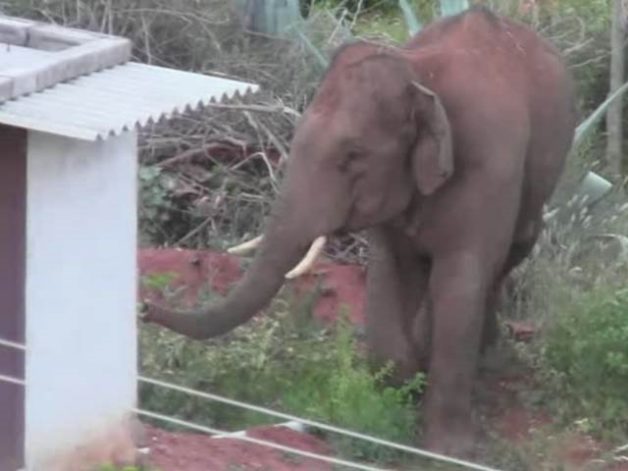 51212E40-9A0D-49E6-AA03-10EE79745928_L_styvpf