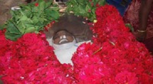 625.111.560.350.160.300.053.800.200.160.90