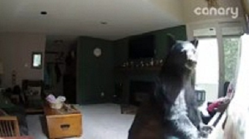 625.117.560.350.160.300.053.800.210.160.90 (2)