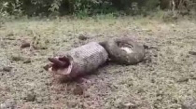 625.117.560.350.160.300.053.800.210.160.90