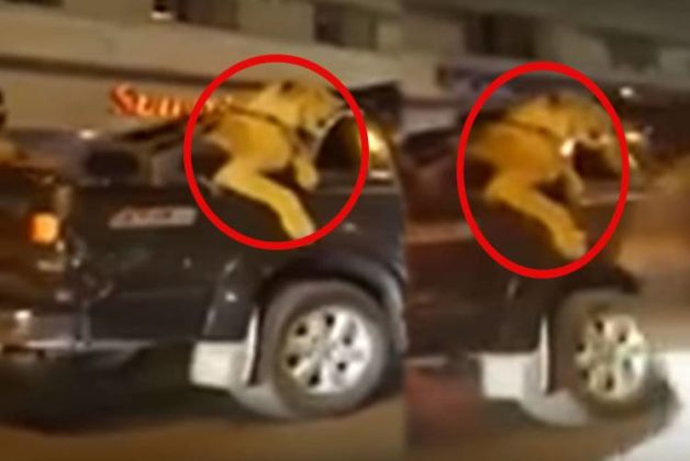 625.500.560.350.160.300.053.800.748.160.70