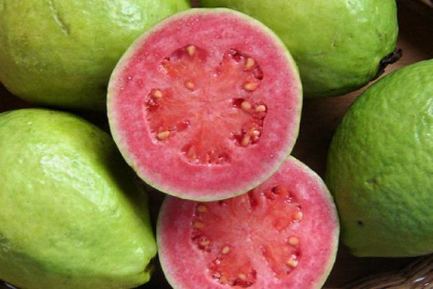 625.500.560.350.160.300.053.800.748.160.70