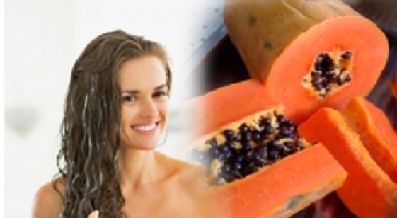 papaya_life_st001.w245