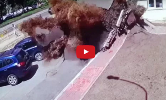 thumb_large_2_V_Pipe