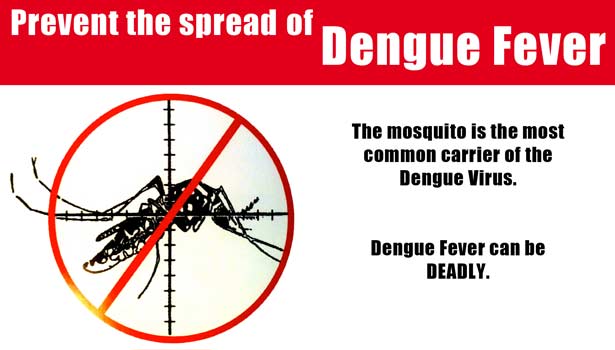 201707220842097485_Dengue-Fever-Spreads-How-to-Prevent_SECVPF