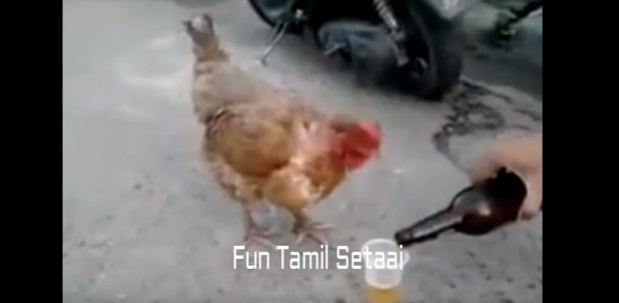 625.0.560.320.160.600.053.800.700.160.90