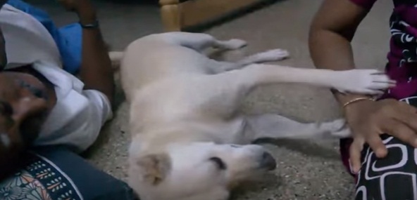 625.0.560.320.160.600.053.800.700.160.90