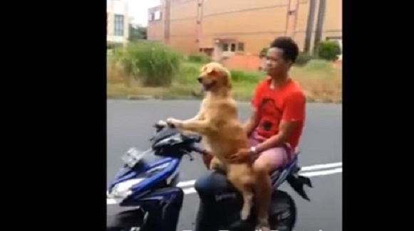 625.0.560.320.160.600.053.800.700.160.90