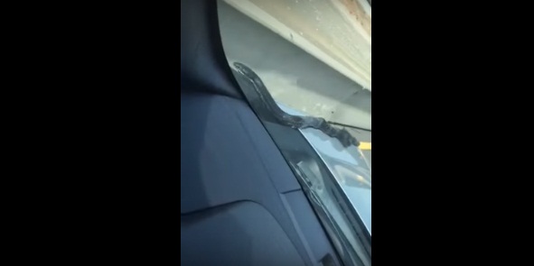 625.147.560.350.160.300.053.800.264.160.90 (1)