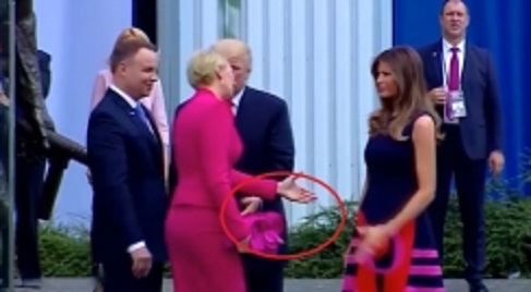 donald_trump001.w245 (1)