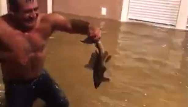 201708281505109243_Man-Goes-Fishing-In-Home-Flooded-By-Hurricane-Harvey_SECVPF