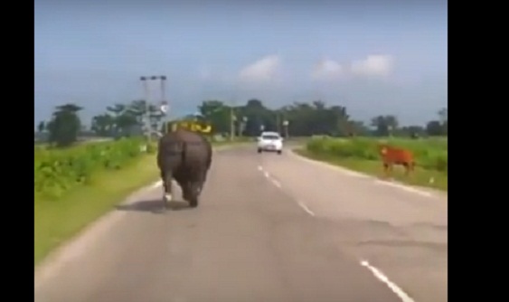 625.0.560.320.160.600.053.800.700.160.90