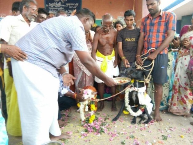 625.0.560.350.160.300.053.800.668.160.90