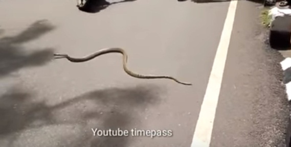 625.147.560.350.160.300.053.800.264.160.90 (1)