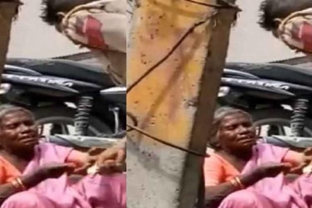 625.500.560.350.160.300.053.800.748.160.70