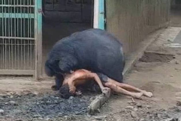 625.500.560.350.160.300.053.800.748.160.70