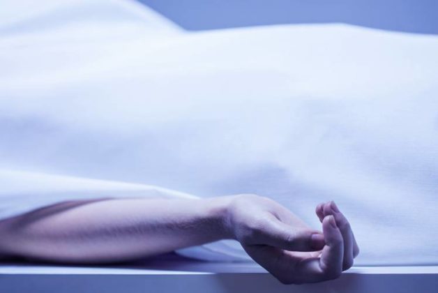 625.500.560.350.160.300.053.800.748.160.70