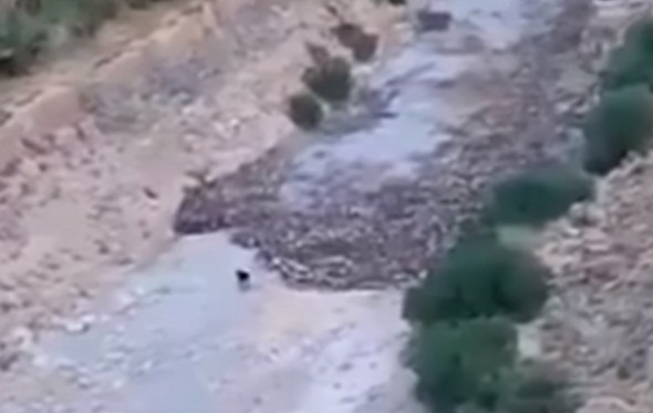 21369616_2003007959975521_5479718077893961375_n