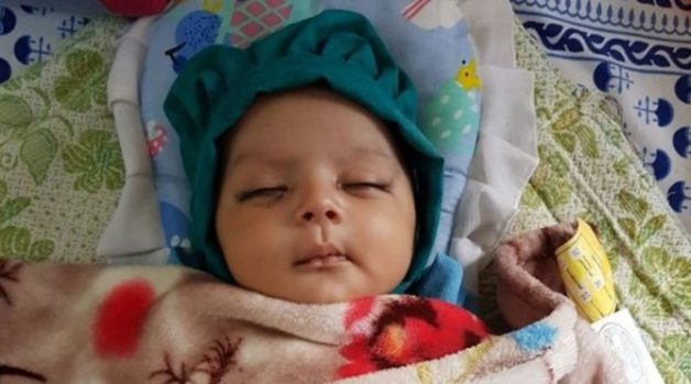 625.0.560.350.160.300.053.800.668.160.90 (1)