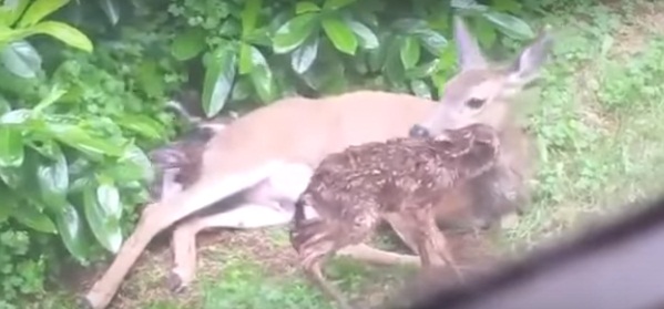 625.170.560.350.160.300.053.800.300.160.90