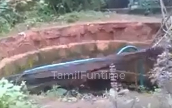 625.170.560.350.160.300.053.800.300.160.90