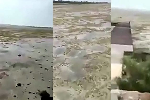 625.500.560.350.160.300.053.800.748.160.70