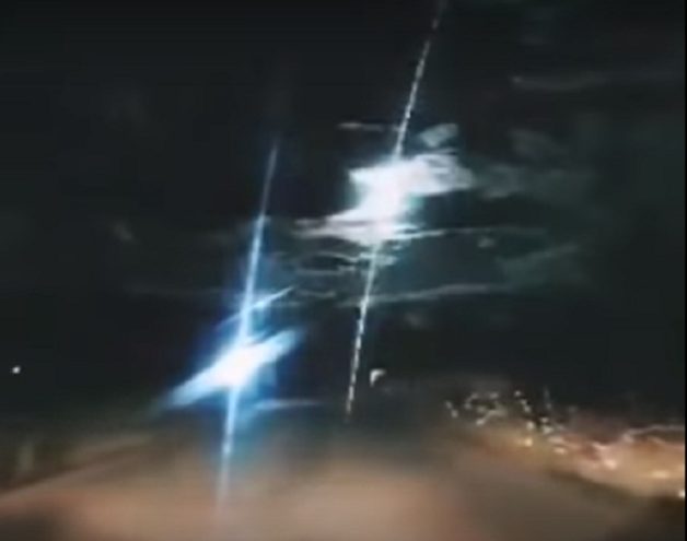 1837925032tree-arrest-L