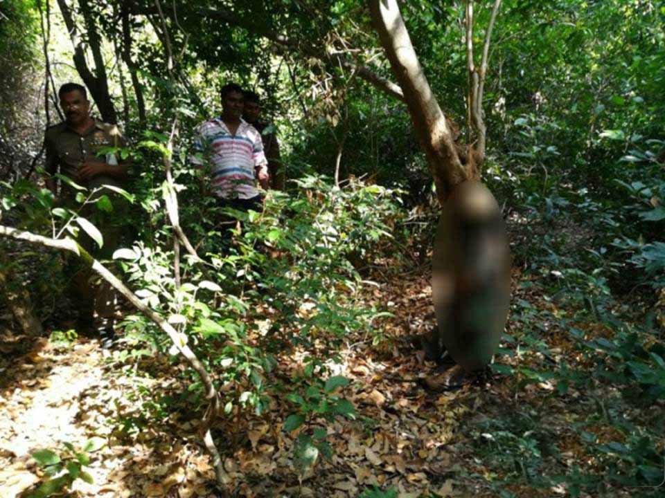 காட்டுப்பகுதியில் காத்திருந்த திடுக்கிடும் சம்பவம்..!!