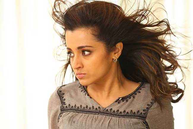 திரிஷாவின் திடீர் முடிவு..!!