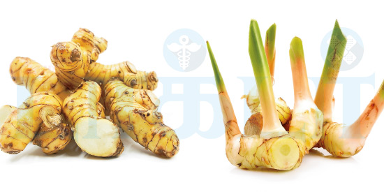 இஞ்சி மாதிரி… ஆனா இஞ்சி இல்ல…!! (மருத்துவம்)