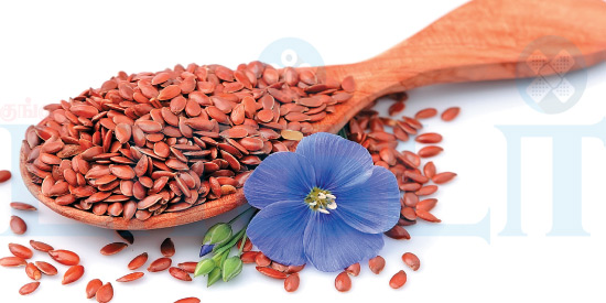 சருமம் காக்கும் ‘ஆளி விதை’!!(மருத்துவம்)