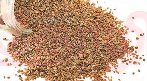 செரிமானத்தை சீராக்கும் ஓமம்!(மருத்துவம்)