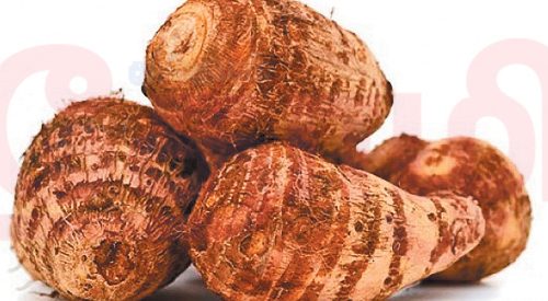 உடல் சூட்டை தணிக்கும் சேப்பைக்கிழங்கு!!(மருத்துவம்)