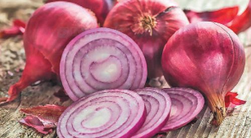 ரத்த விருத்தியாக்கும் வெங்காயம்!! (மருத்துவம்)