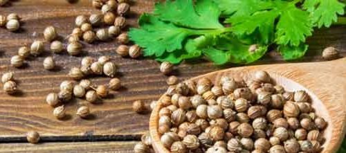 உடல் இயக்கத்தை சீராக்கும் மல்லி!(மருத்துவம்)