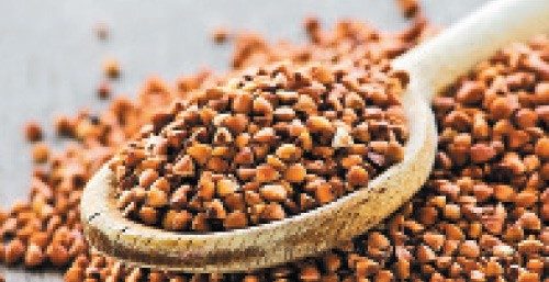 கோதுமை மாதிரி ஆனா கோதுமை இல்லை!(மருத்துவம்)